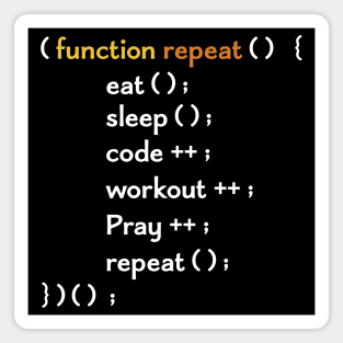 Funny Computer Science coding Eat Sleep Code / funny programming design / coding gift idea / increment and progress coding idea Magnet